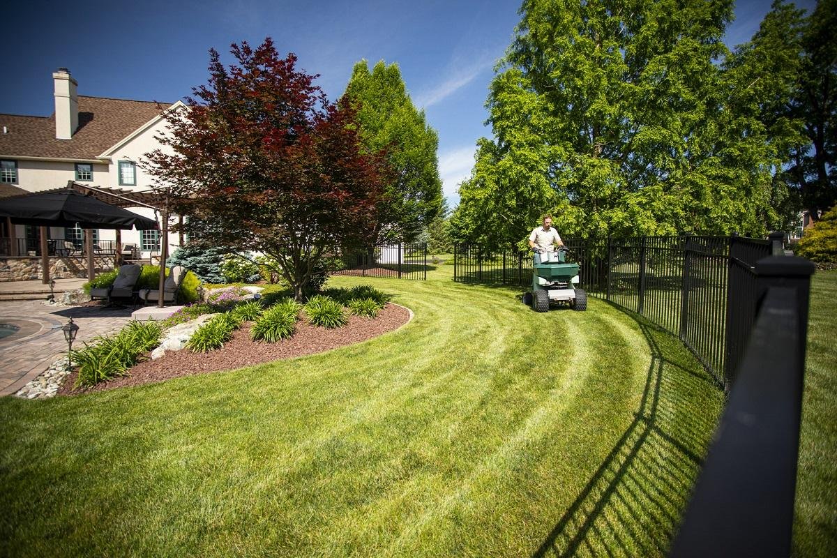 Grass cutting and lawn care